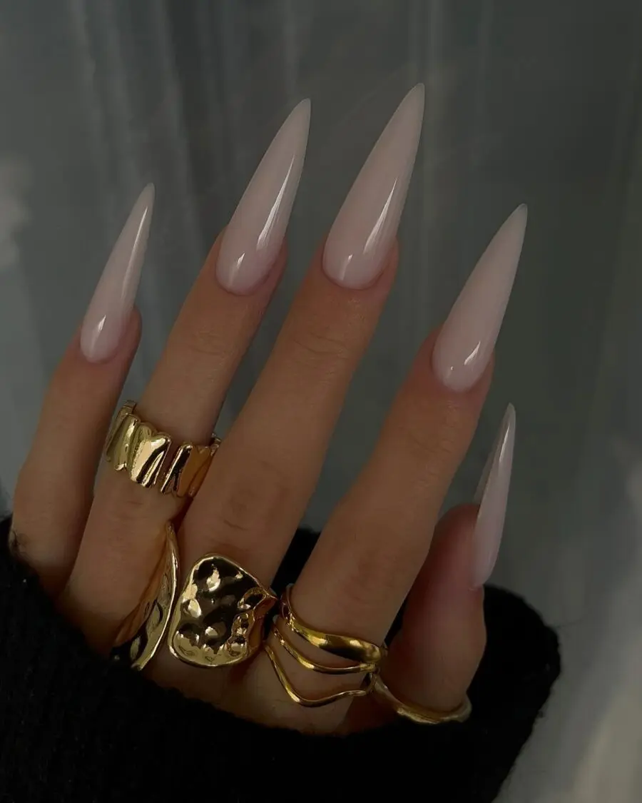 Elegant stiletto nails with chic accessories