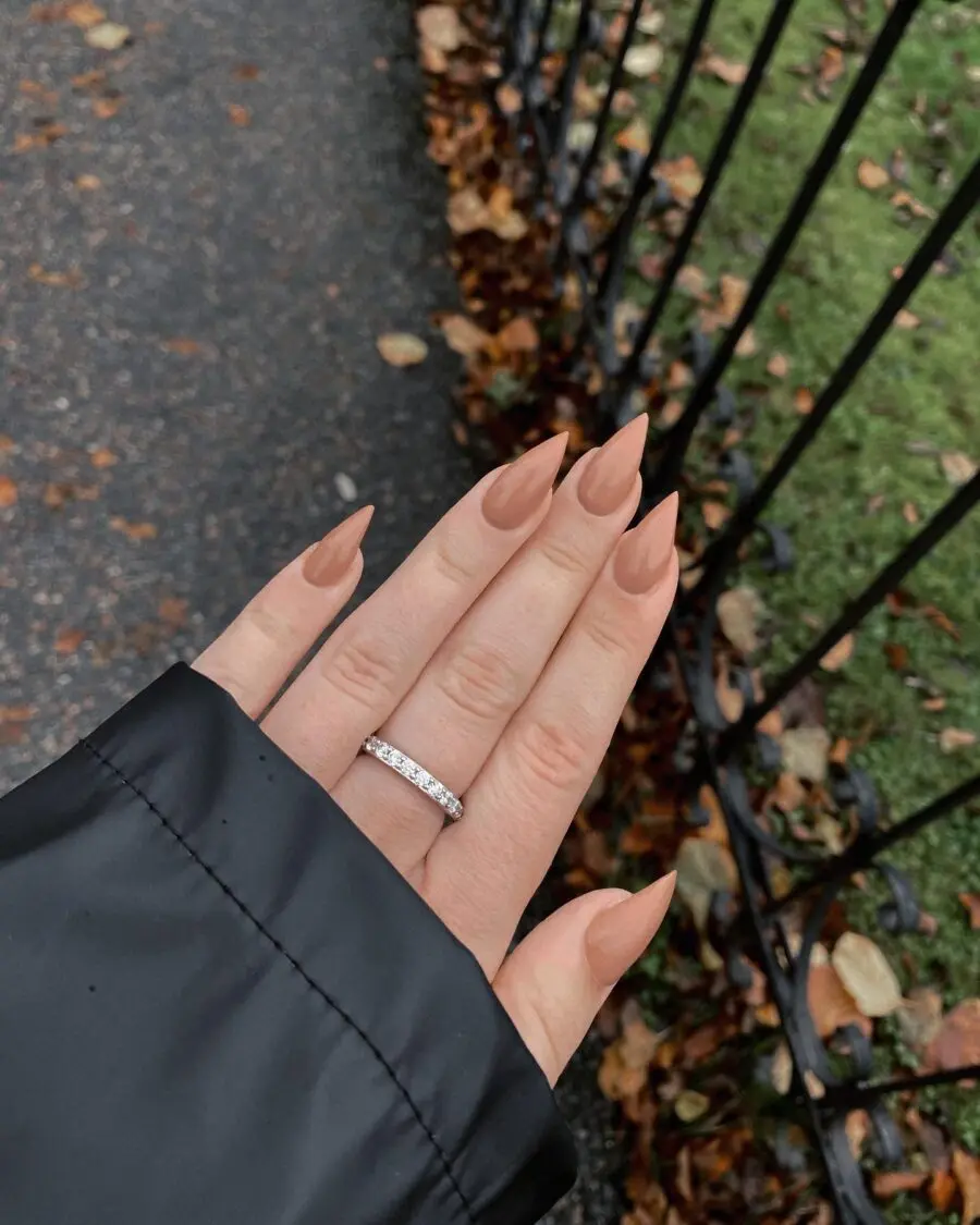 Elegant stiletto nails in a nude shade