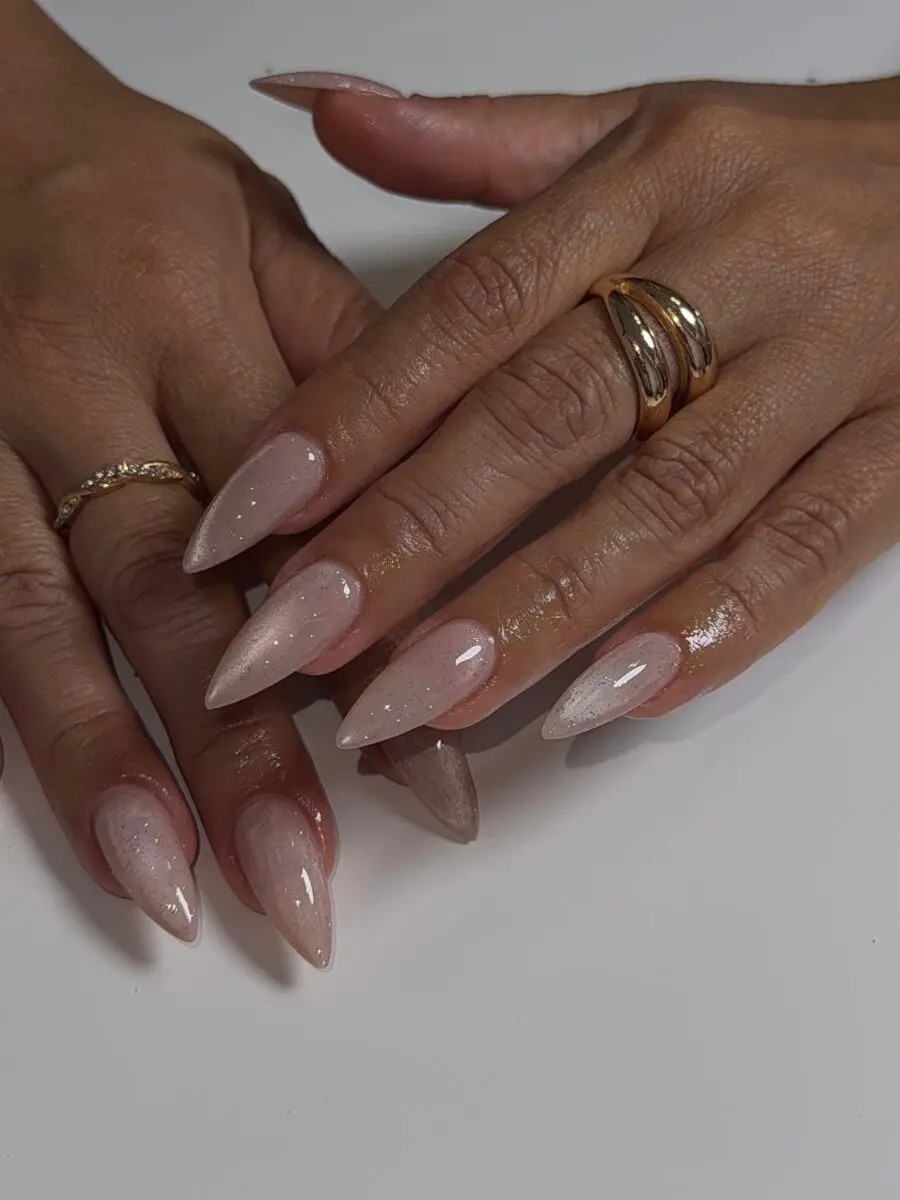 Elegant stiletto nails with subtle sparkle